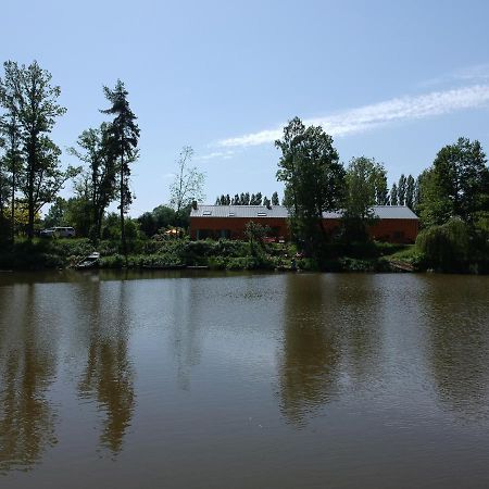 Florennes Gite Neuf 150 M2 Devant Un Grand Lac Prive De 2 Hectares Poissonneux Au Milieu Des Bois Екстериор снимка