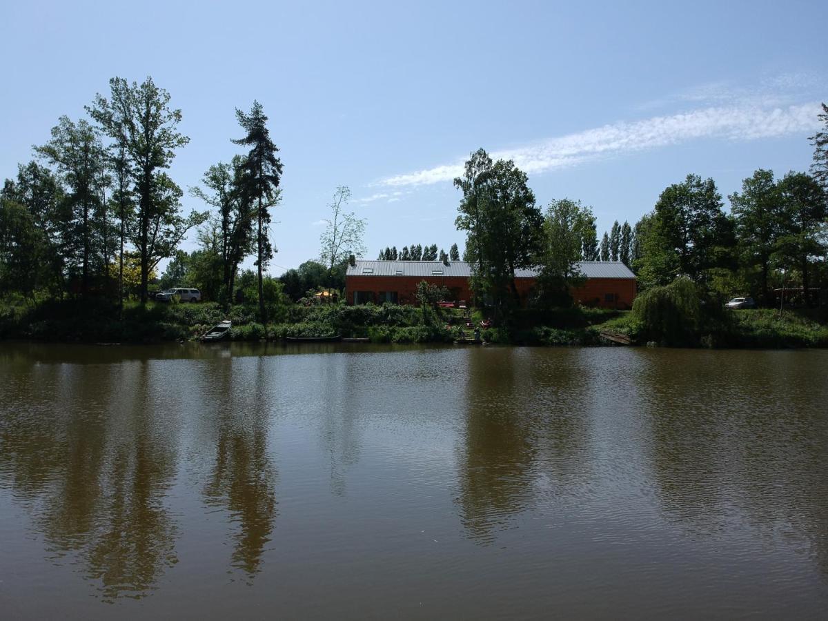 Florennes Gite Neuf 150 M2 Devant Un Grand Lac Prive De 2 Hectares Poissonneux Au Milieu Des Bois Екстериор снимка
