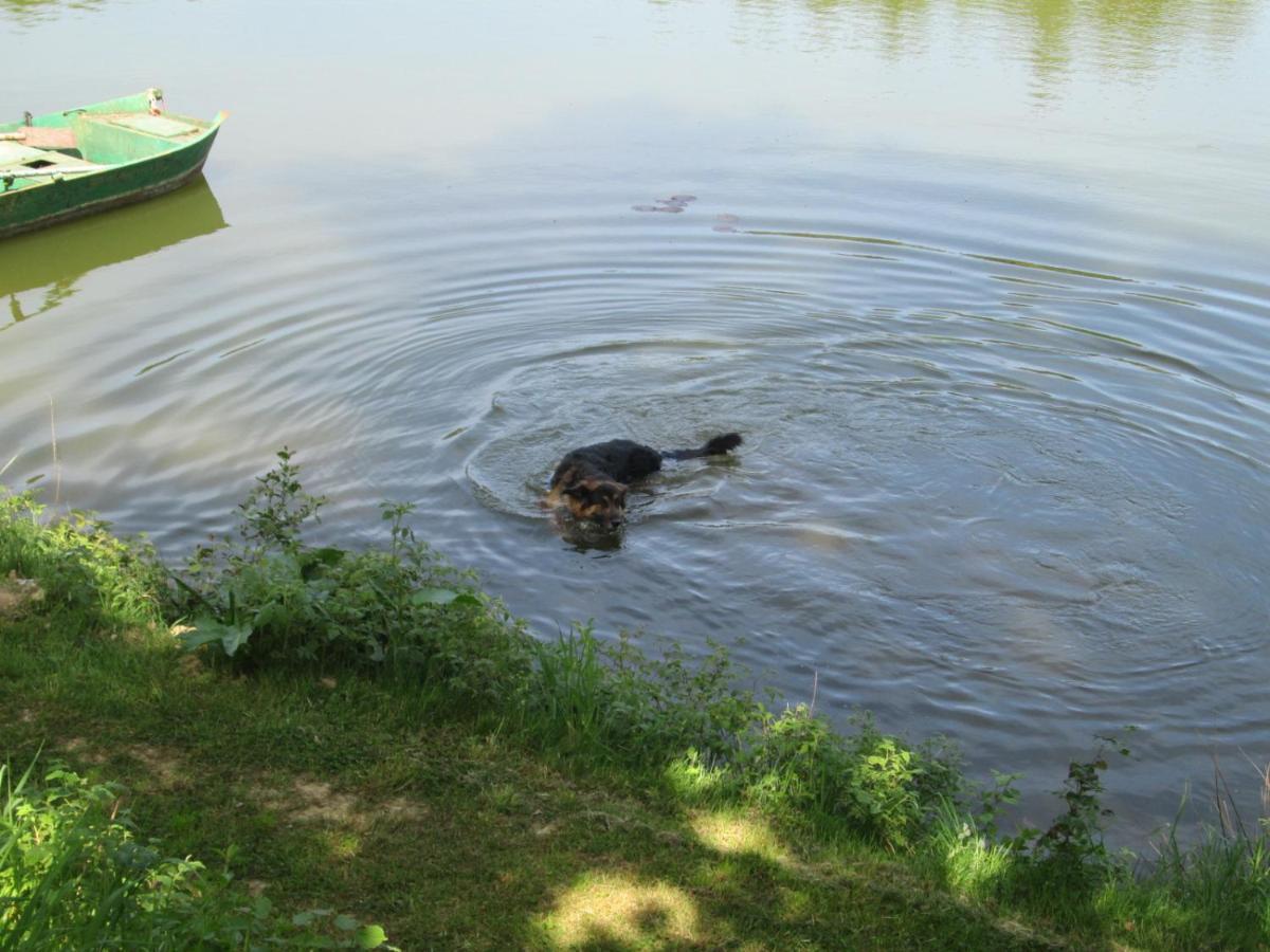 Florennes Gite Neuf 150 M2 Devant Un Grand Lac Prive De 2 Hectares Poissonneux Au Milieu Des Bois Екстериор снимка