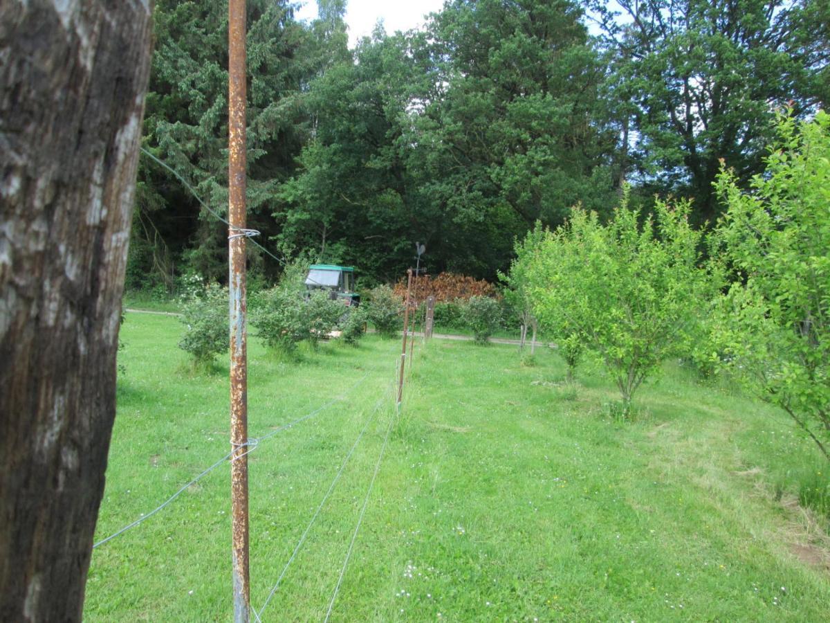 Florennes Gite Neuf 150 M2 Devant Un Grand Lac Prive De 2 Hectares Poissonneux Au Milieu Des Bois Екстериор снимка