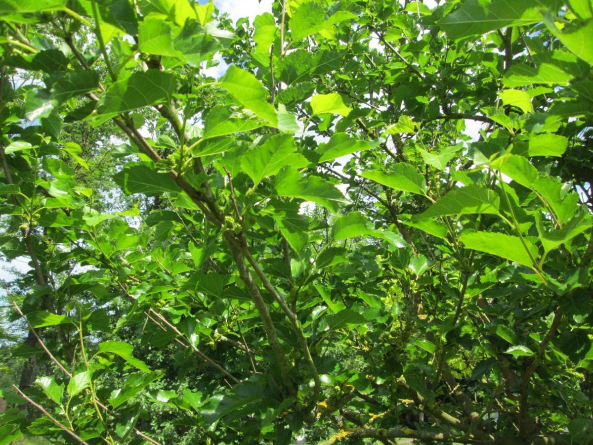 Florennes Gite Neuf 150 M2 Devant Un Grand Lac Prive De 2 Hectares Poissonneux Au Milieu Des Bois Екстериор снимка