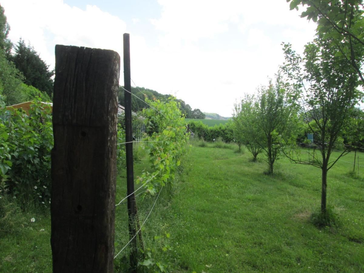 Florennes Gite Neuf 150 M2 Devant Un Grand Lac Prive De 2 Hectares Poissonneux Au Milieu Des Bois Екстериор снимка