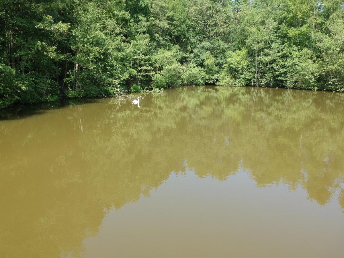 Florennes Gite Neuf 150 M2 Devant Un Grand Lac Prive De 2 Hectares Poissonneux Au Milieu Des Bois Екстериор снимка