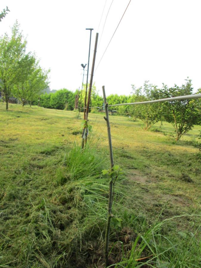 Florennes Gite Neuf 150 M2 Devant Un Grand Lac Prive De 2 Hectares Poissonneux Au Milieu Des Bois Екстериор снимка
