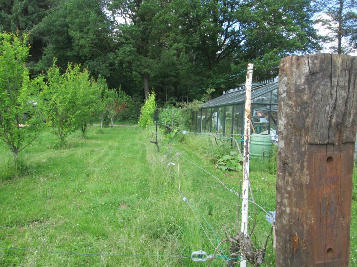 Florennes Gite Neuf 150 M2 Devant Un Grand Lac Prive De 2 Hectares Poissonneux Au Milieu Des Bois Екстериор снимка