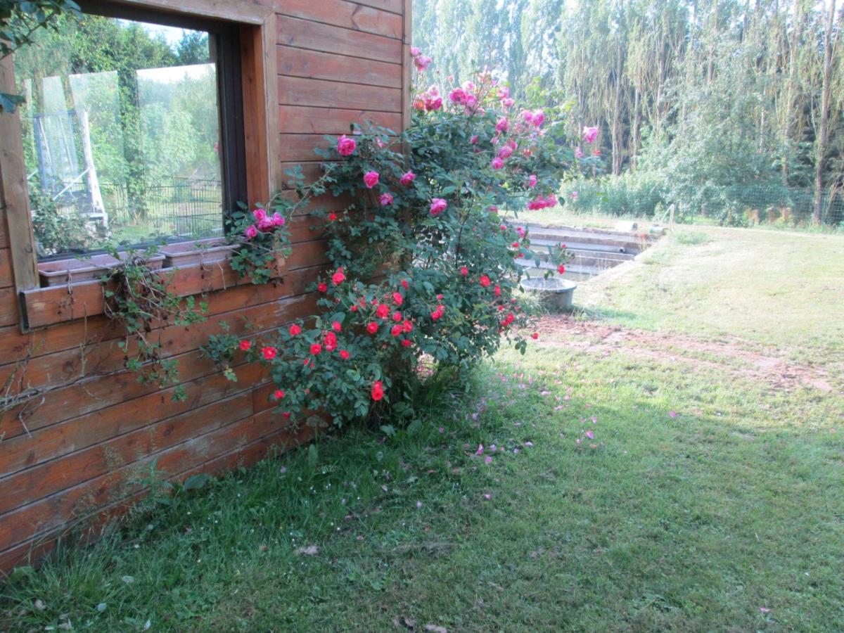 Florennes Gite Neuf 150 M2 Devant Un Grand Lac Prive De 2 Hectares Poissonneux Au Milieu Des Bois Екстериор снимка