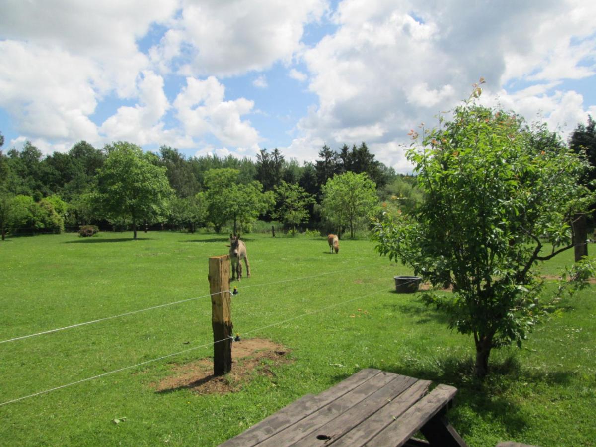 Florennes Gite Neuf 150 M2 Devant Un Grand Lac Prive De 2 Hectares Poissonneux Au Milieu Des Bois Екстериор снимка