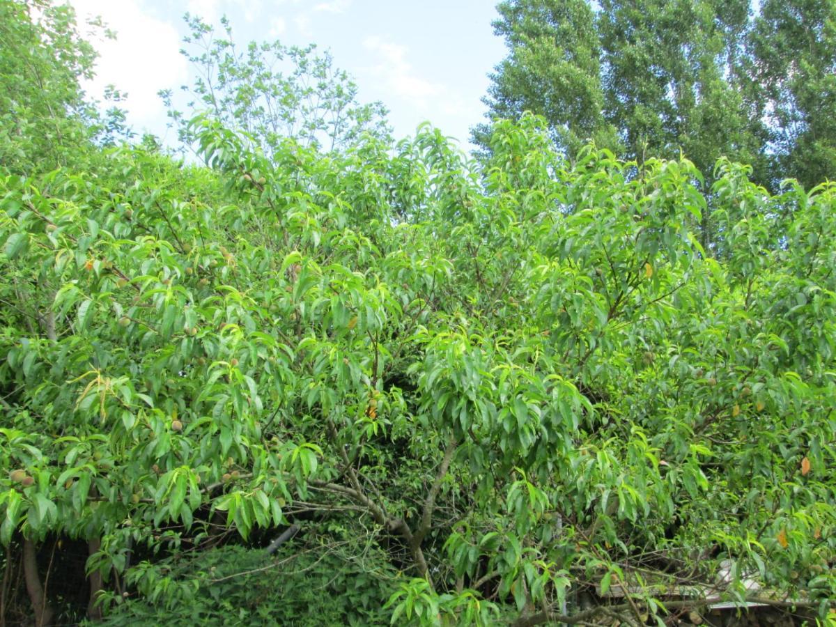 Florennes Gite Neuf 150 M2 Devant Un Grand Lac Prive De 2 Hectares Poissonneux Au Milieu Des Bois Екстериор снимка