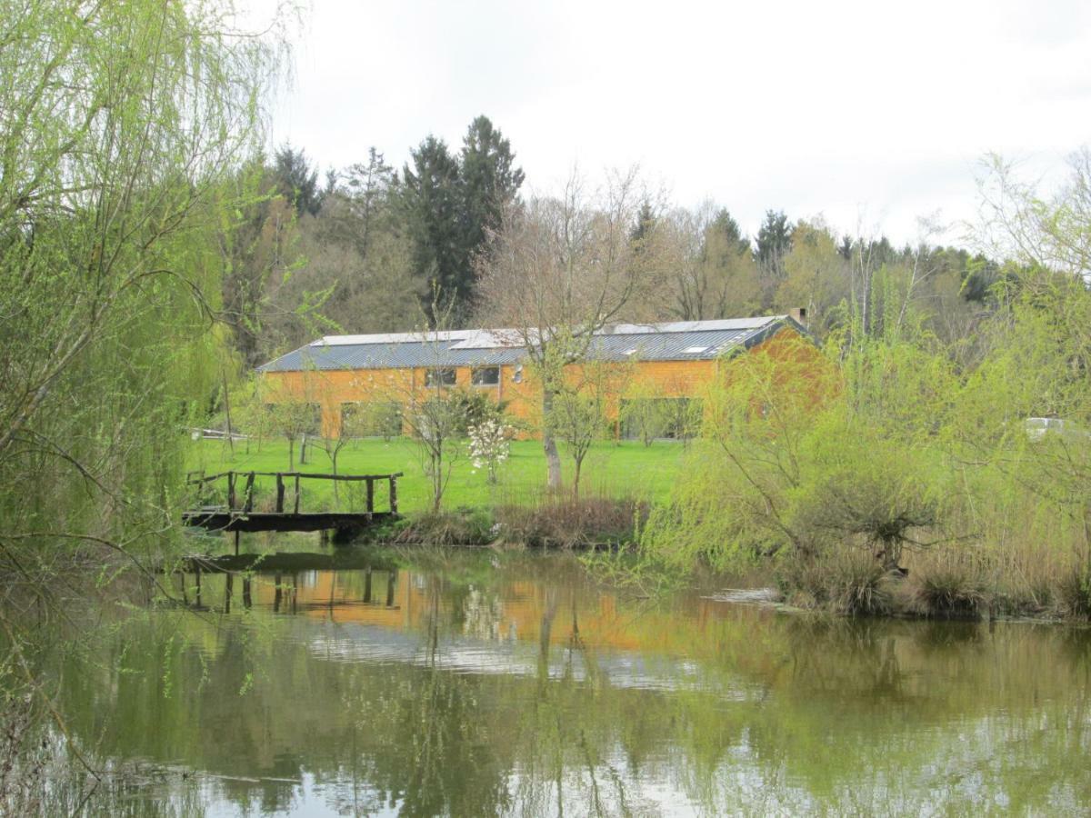 Florennes Gite Neuf 150 M2 Devant Un Grand Lac Prive De 2 Hectares Poissonneux Au Milieu Des Bois Екстериор снимка