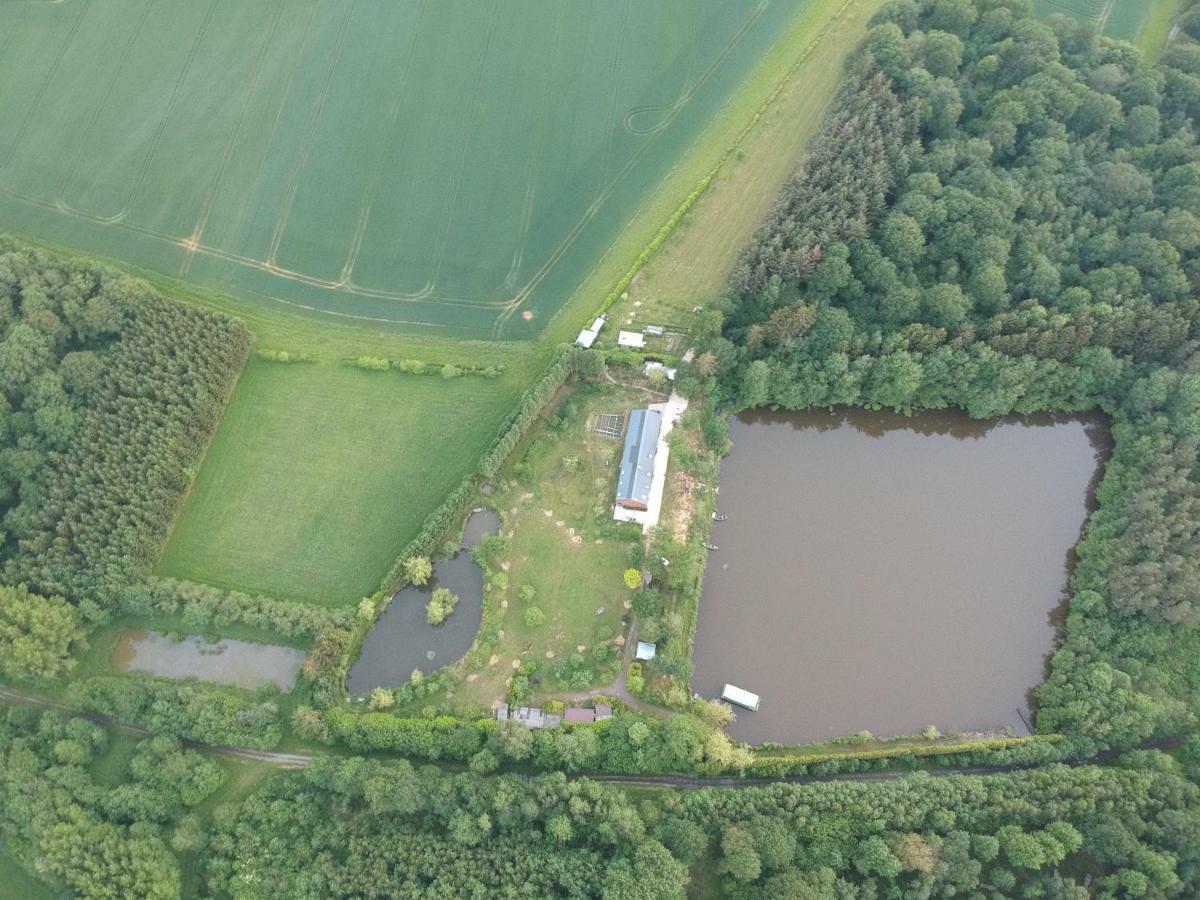 Florennes Gite Neuf 150 M2 Devant Un Grand Lac Prive De 2 Hectares Poissonneux Au Milieu Des Bois Екстериор снимка