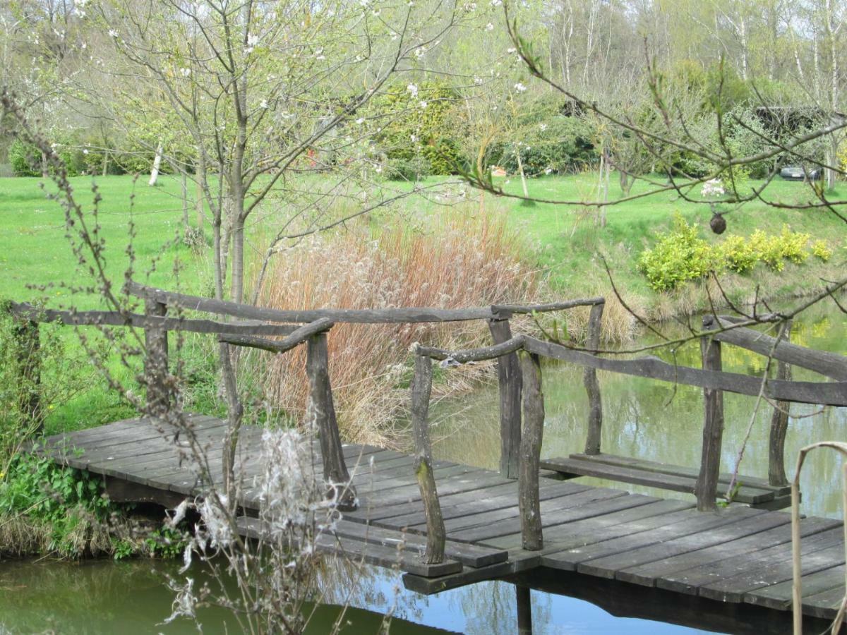 Florennes Gite Neuf 150 M2 Devant Un Grand Lac Prive De 2 Hectares Poissonneux Au Milieu Des Bois Екстериор снимка
