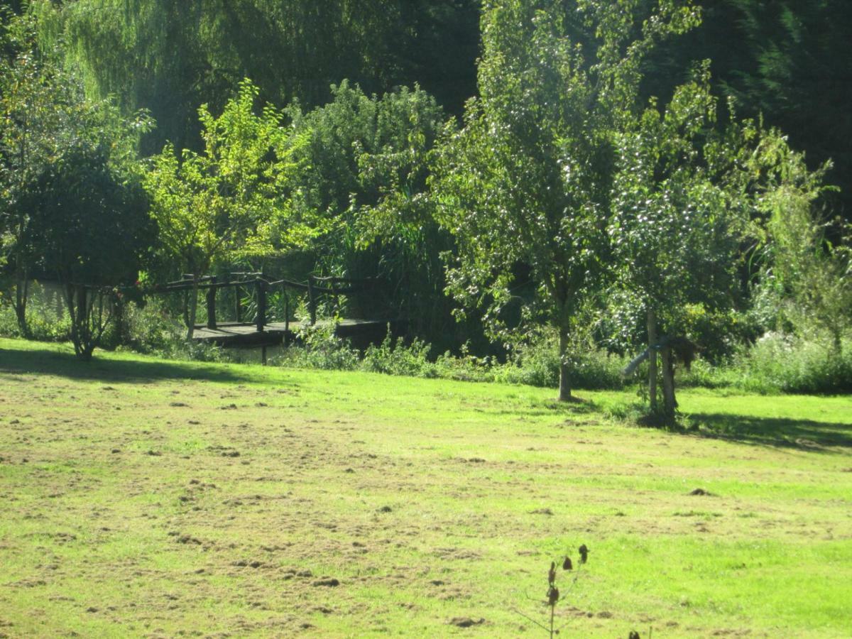 Florennes Gite Neuf 150 M2 Devant Un Grand Lac Prive De 2 Hectares Poissonneux Au Milieu Des Bois Екстериор снимка