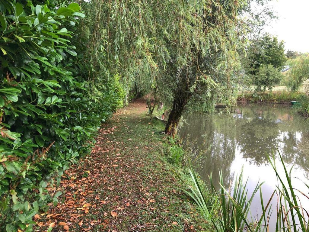 Florennes Gite Neuf 150 M2 Devant Un Grand Lac Prive De 2 Hectares Poissonneux Au Milieu Des Bois Екстериор снимка